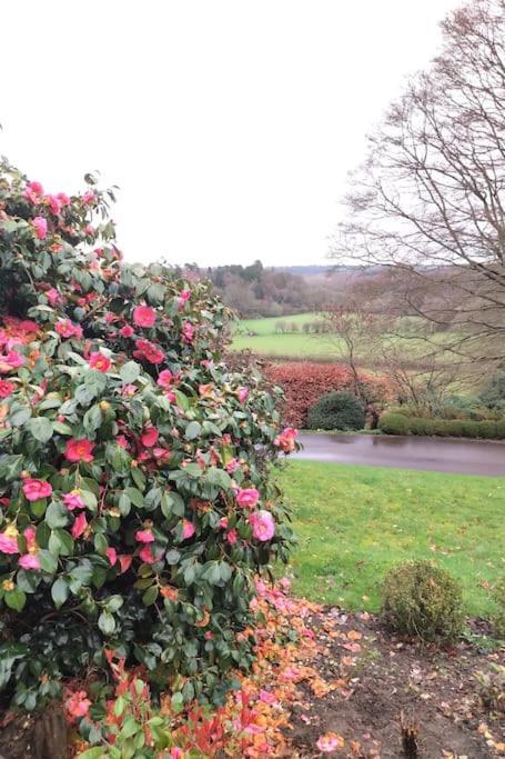 Modern Country Villa, Stunning Gardens And View Royal Tunbridge Wells Exterior photo